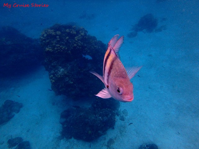 Chankanaab Park, Cozumel