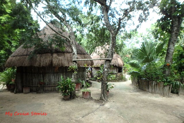 Mayan huts