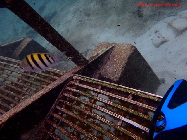 stairway at the beach