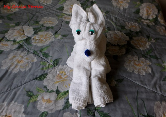 how to fold a towel dog