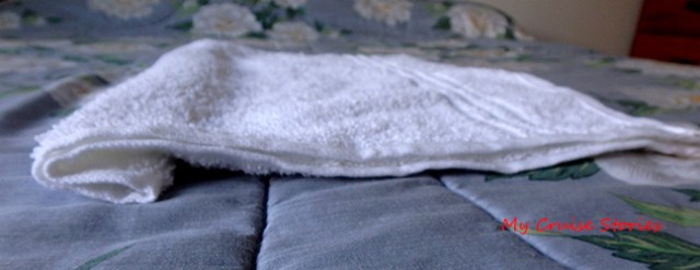 arts and crafts with towels