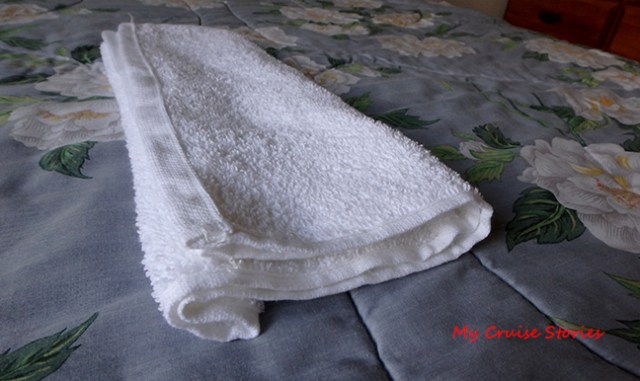 making a towel dog head