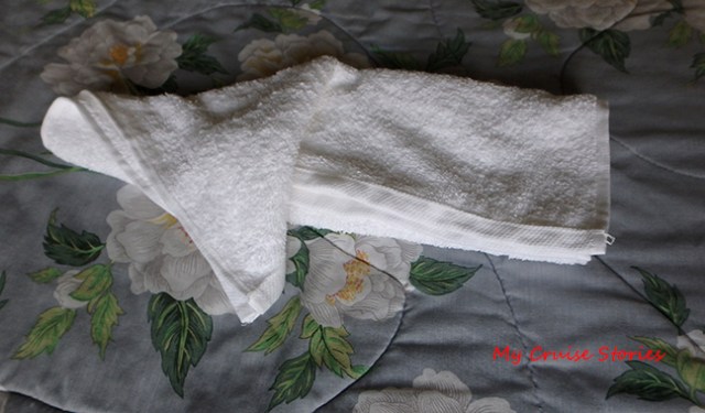 step by step towel animal folding directions