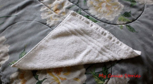 washcloth dog tail