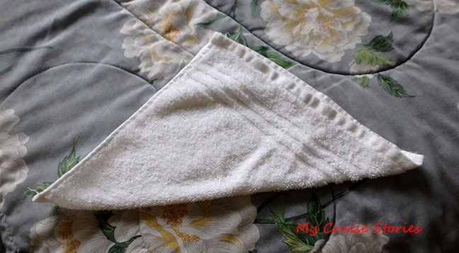 washcloth dog tail