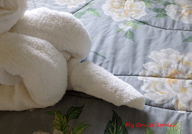 towel dog with a tail