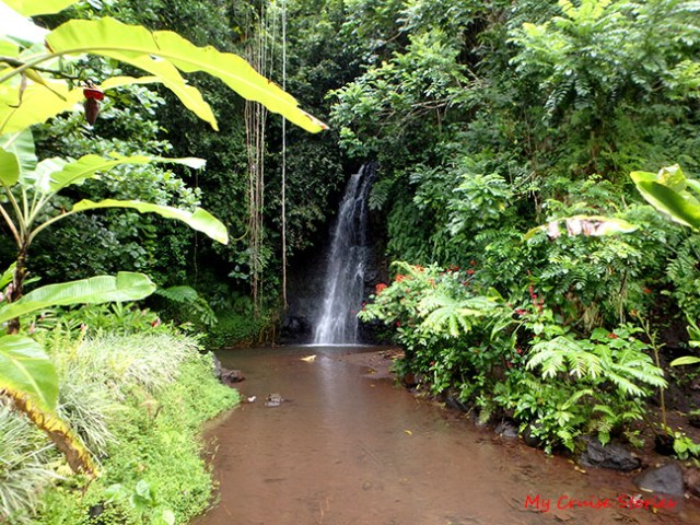 botanical garden in Tahiti