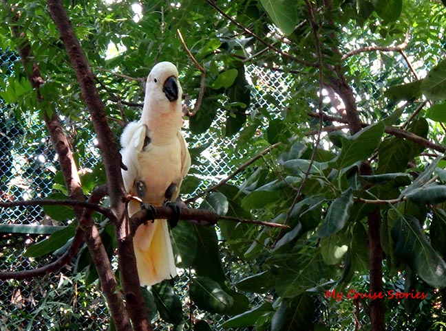 zoo at Cartagena cruise port