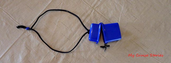 nobody can steal your stuff if you take it swimming with you