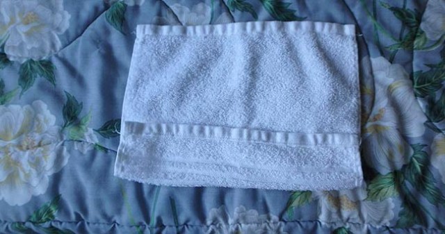 washcloth animal folding