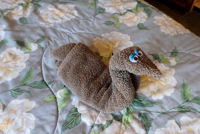 how to fold a towel duck