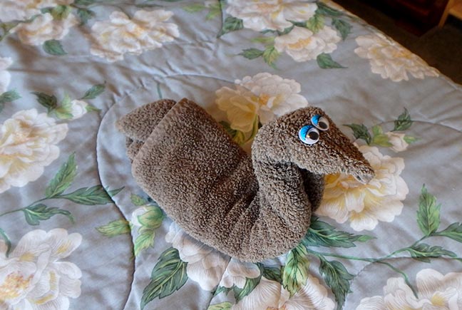 how to fold a towel duck