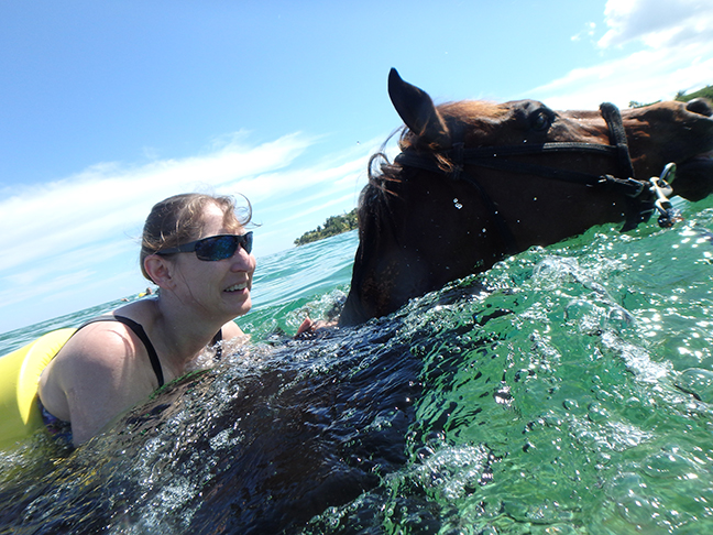 horse swim at private stable