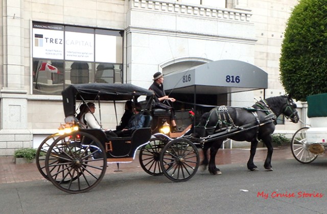 carriage rides