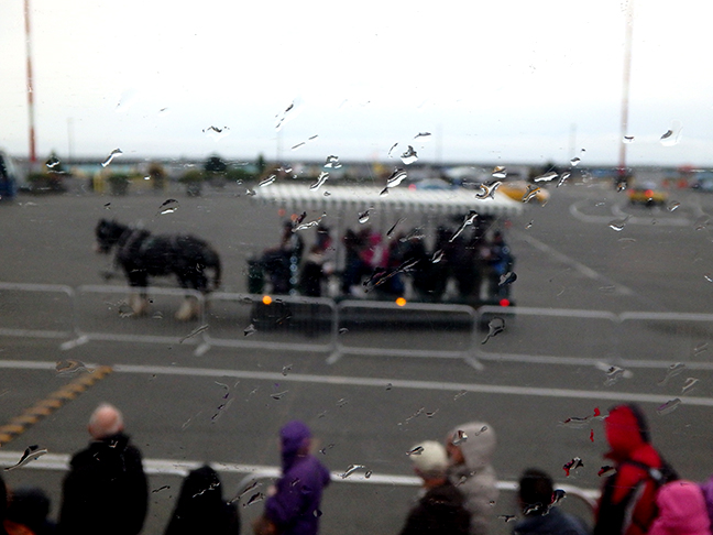 tally ho in Victoria