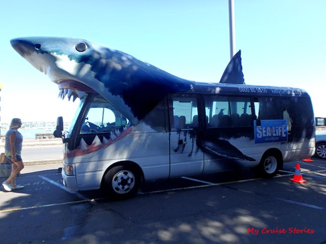 free shuttle to Auckland Aquarium