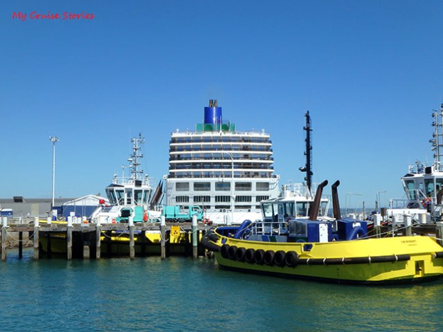 Tauranga cruise port