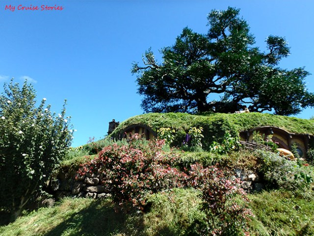 Bilbo and Frodo's house