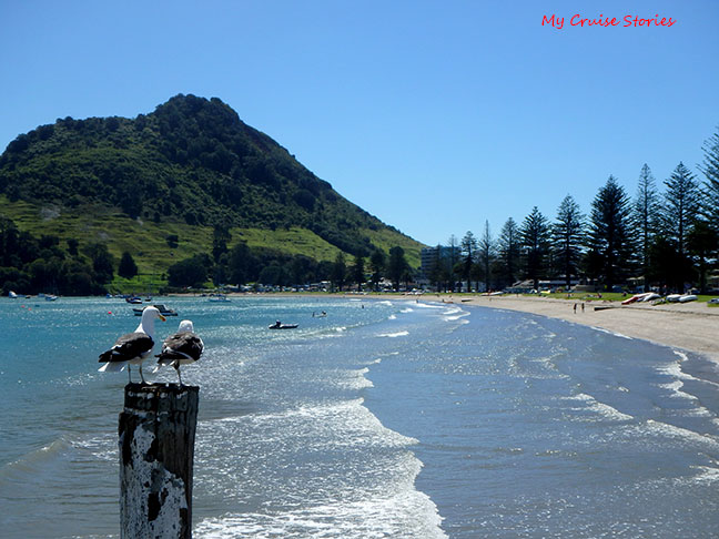 seagulls on a piling