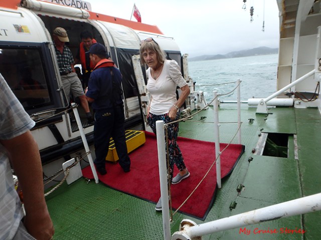 Arcadia's tender dock