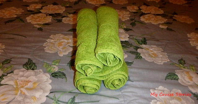 towel animal body step two