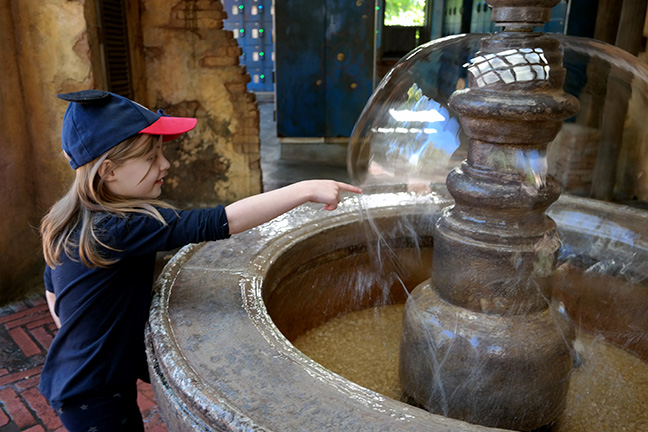 fountain at Animal Kingdom