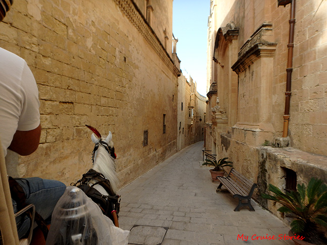 horse carriage through Mdina