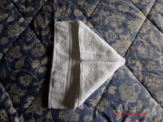 making towel animals