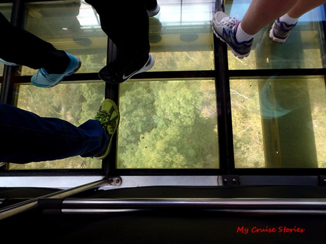 skyway at scenic world