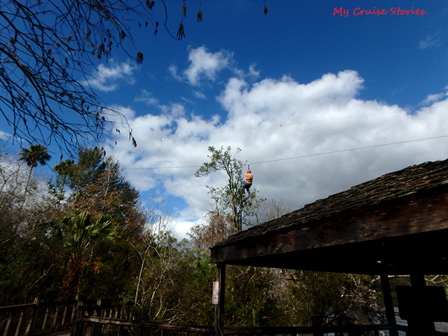 zip line at Gatorland