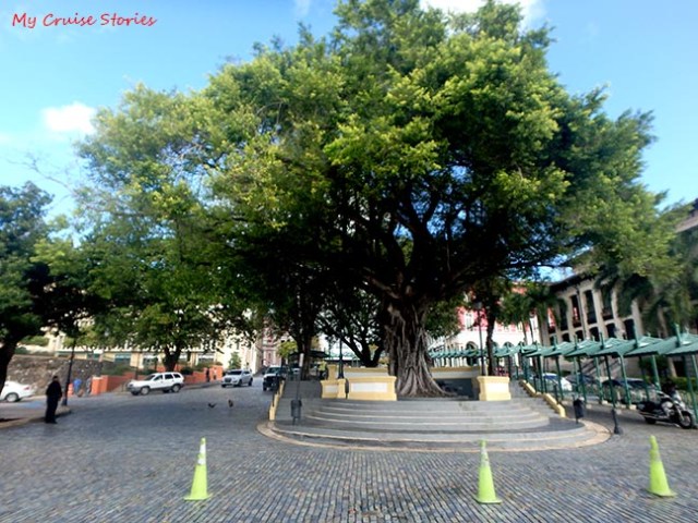 blue brick road in Puerto Ricl