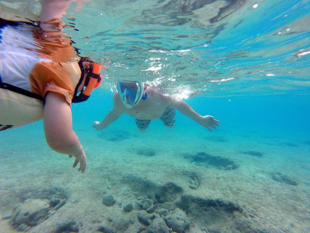 Tribord vs traditional mask