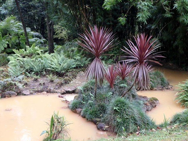 looks like a river of poo, but it's just water