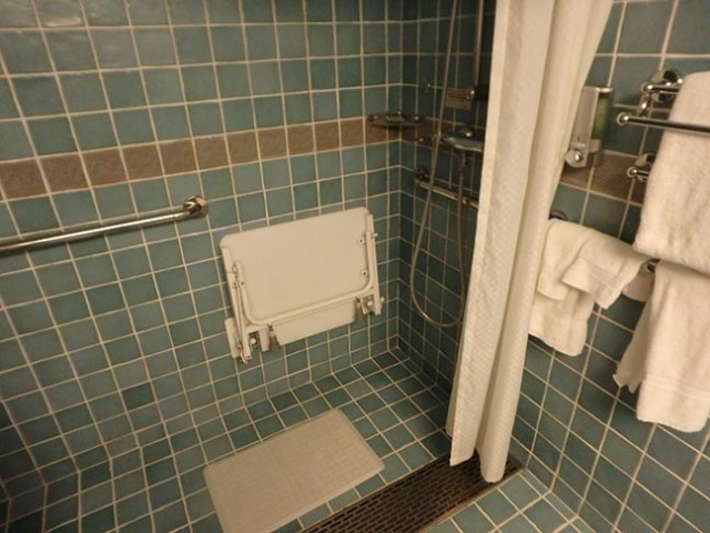cruise ship accessible cabin