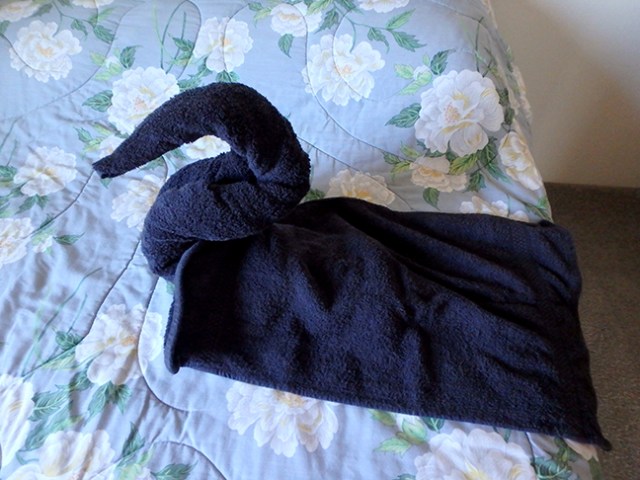towel origami