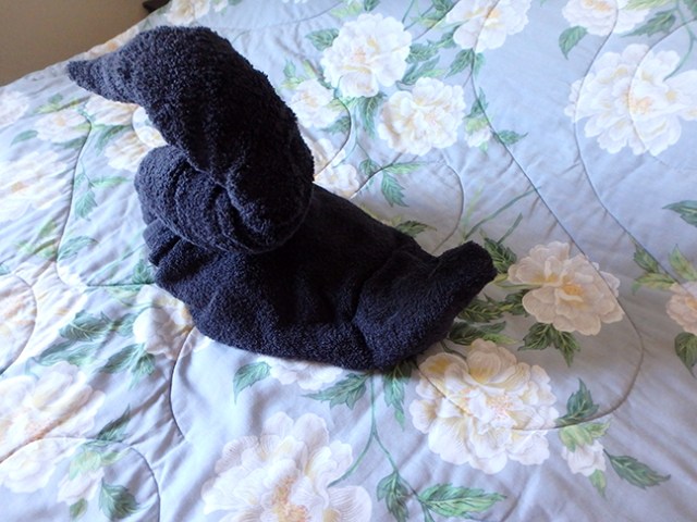 folding a towel swan