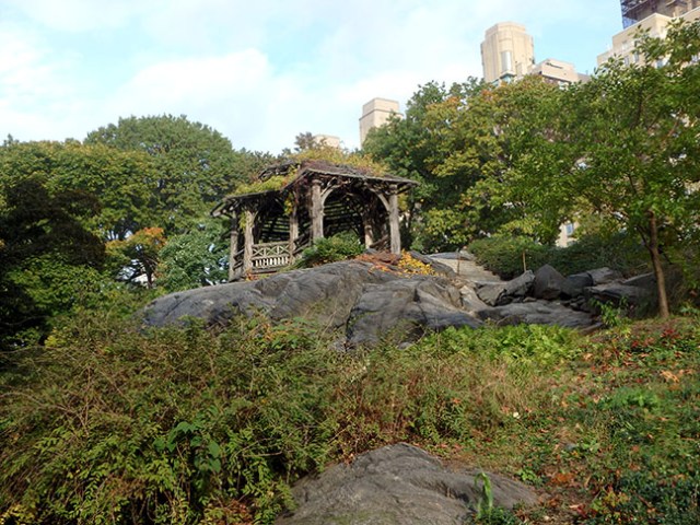 in New York's Central Park
