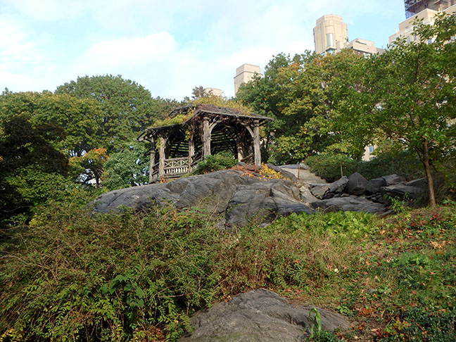 in New York's Central Park