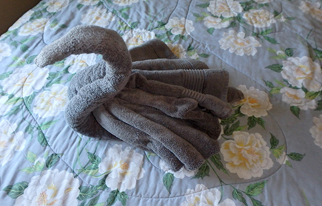 winged towel swan
