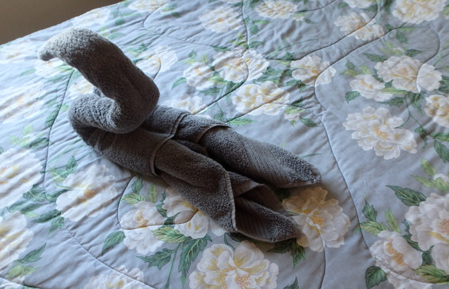 making a towel swan