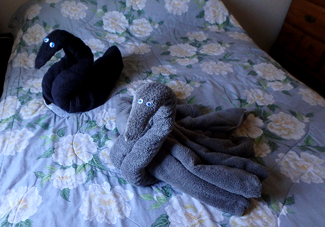 towel swans