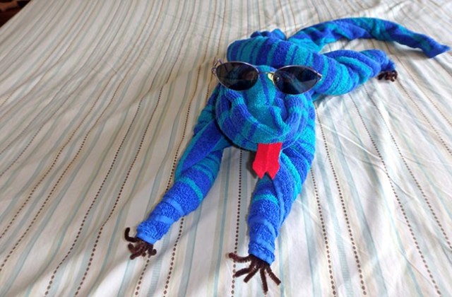 towel iguana