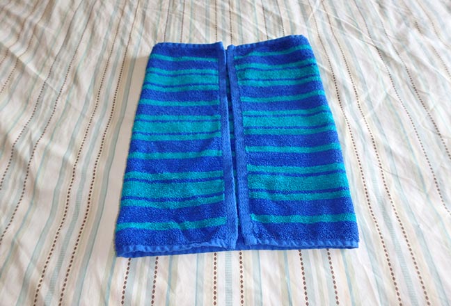 making a towel iguana head