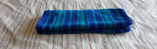 making a towel iguana head