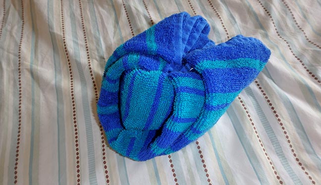 making a towel iguana head