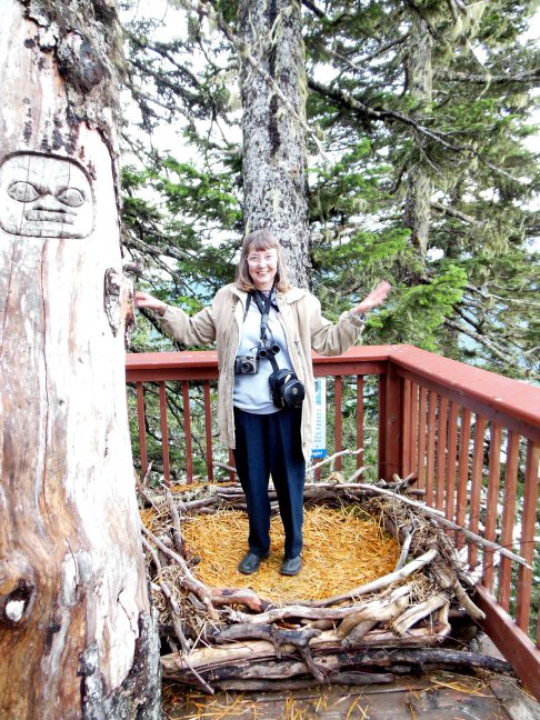 just how big is an eagle's nest