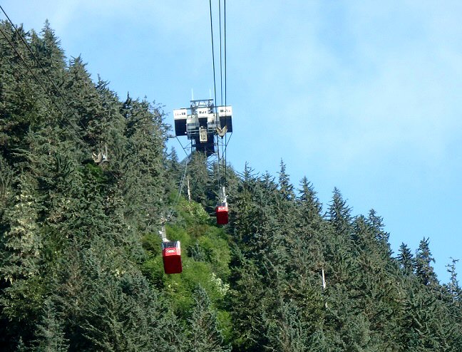 Mount Roberts TRam