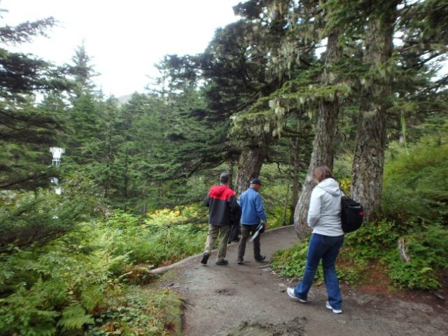 trail at Mount Roberts tram