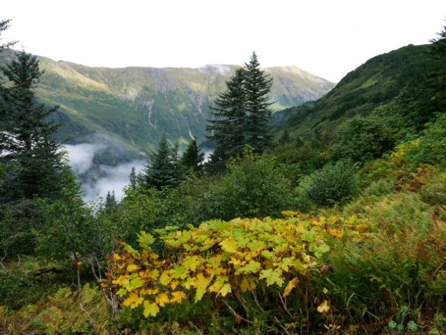 view from mountaintop trail