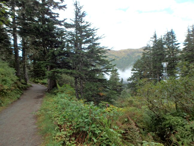 trail at Mount Roberts tram